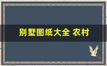 别墅图纸大全 农村 自建 二层